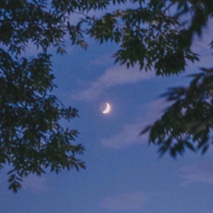 老太婆被躁120分钟免费观看
